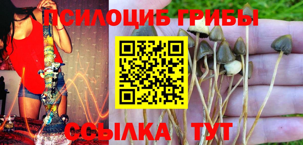 Псилоцибиновые грибы Magic Shrooms Балашиха