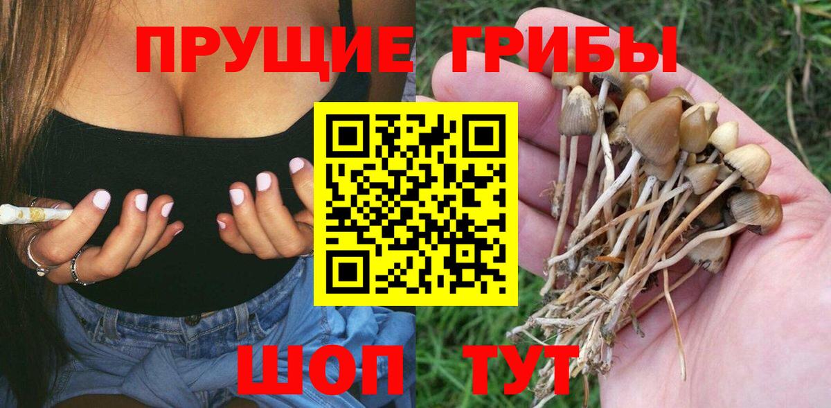 ГАШИШ Балашиха